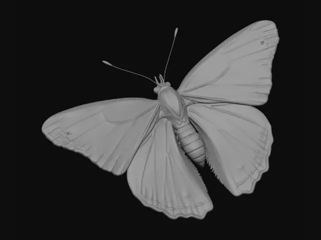 3D model for Painted Lady