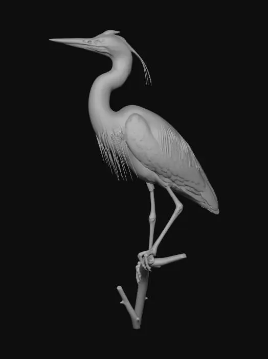 3D model for Perched Grey Heron