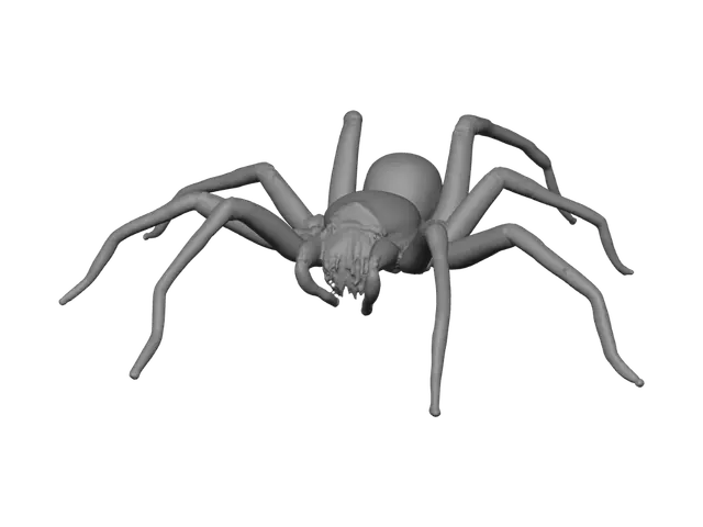 3D model for create a realistic red back spider