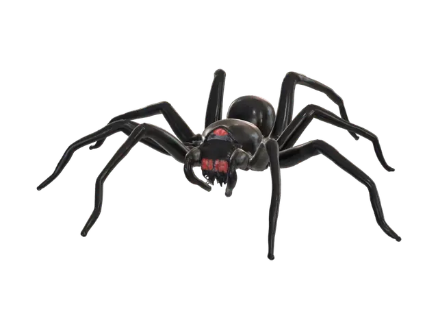 3D model for create a realistic red back spider