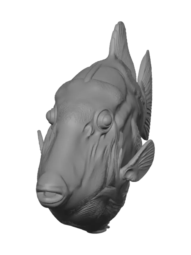3D model for Grayscale Fish Study