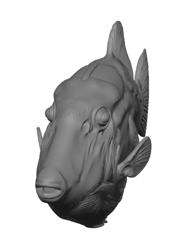 3D model for Grayscale Fish Study