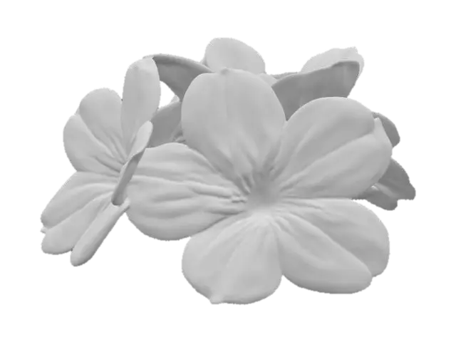 3D model for Pretty clump of forget-me-not flowers pink and blue on a pure white background 