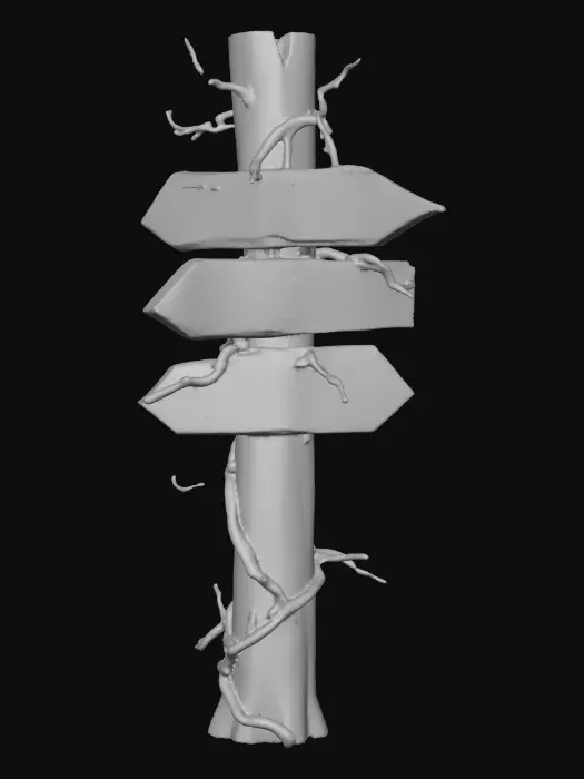 3D model for A stylized wooden signpost from a dark Alice in wonderland fantasy.
Crooked post, cracked boards shapped like arrows with Readable text "this way", "down", & "up" hand-crafted look.
Each arrow is fastened to alternate sides. Stylized 3D environment prop for a fantasy game.