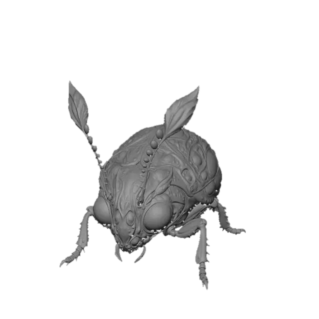 3D model for Kaleidoscopic Scarab