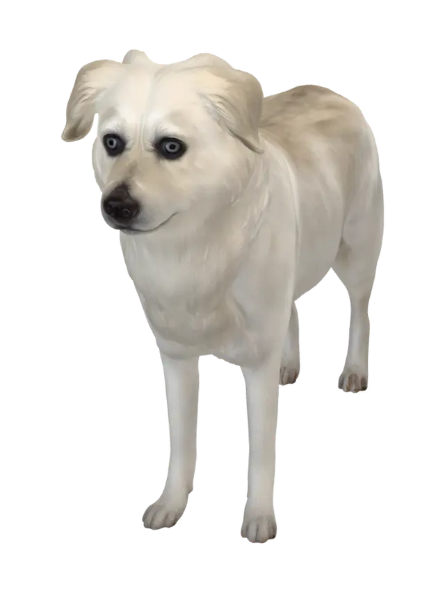 Curious Dog in the Laundry Room 3D model, vytvořený pomocí AI