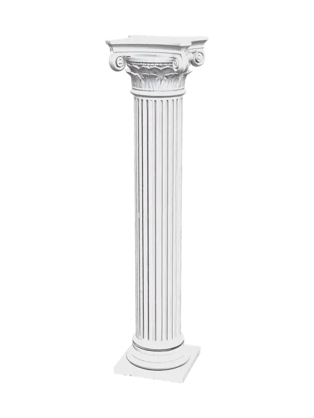 3D model for Collum