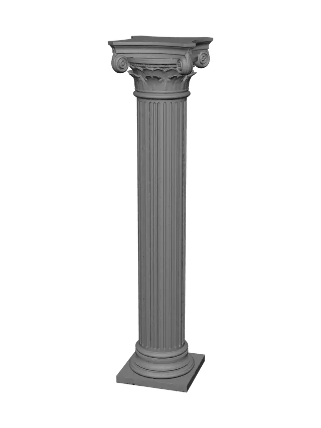 3D model for Collum