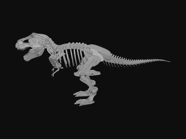 3D model for Cardboard Tyrannosaurus Rex Skeleton