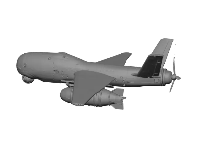 3D model for Miss Information