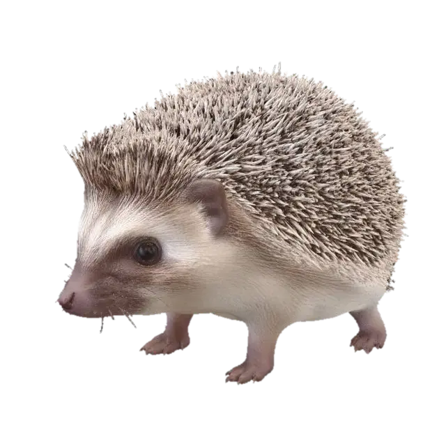 Hedgehog - Small 3D model, vytvořený pomocí AI