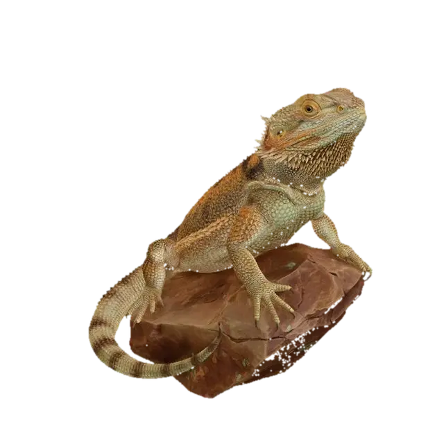 3D model for Stone Sentinel