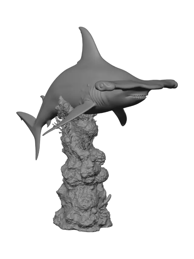 3D model for Hammerhead Over Coral Reef