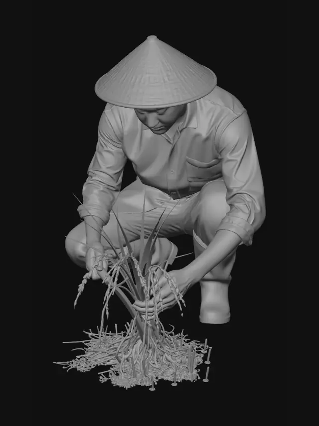 3D model for Rice farmer harvesting rice