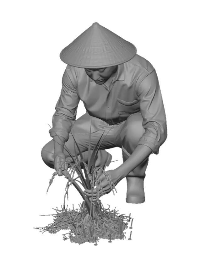 3D model for Rice farmer harvesting rice