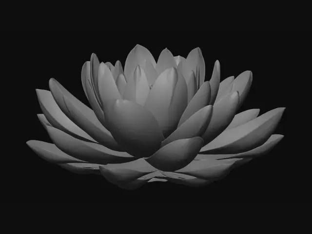 3D model for Blush Pink Water Lily