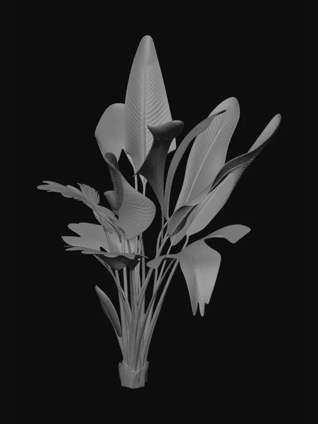 3D model for Banana Plant