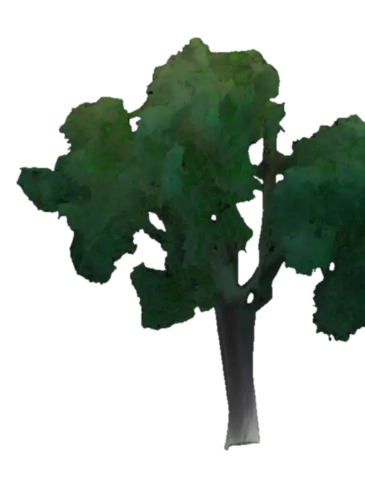 Tree - Leaf yapay zekâ ile oluşturulmuş 3D model