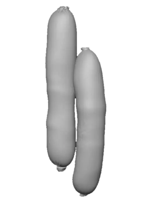 3D model for sausage
