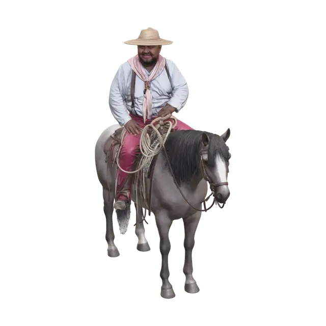 3D model for Ornate Mexican Cowboy Hat
