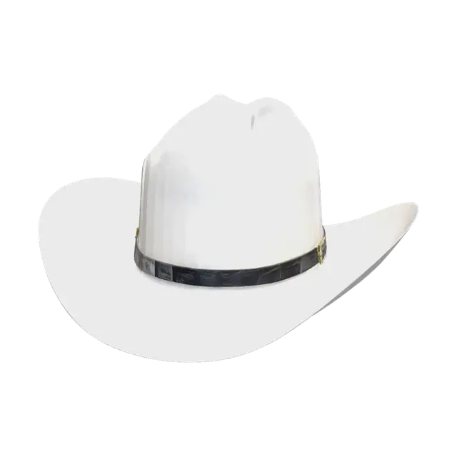 Stylized Mexican Cowboy Hat - Texas 3D model, vytvořený pomocí AI
