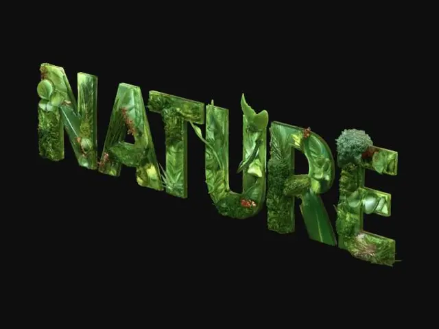 3D model for Leafy Letters