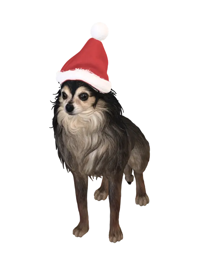 dog-head-bust-santa-3d - Santahat 3D model, vytvořený pomocí AI
