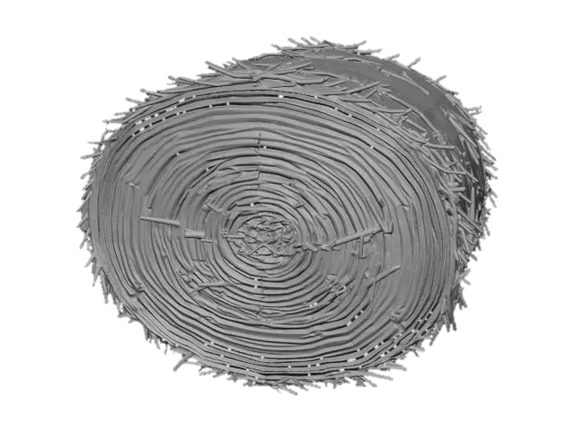 3D model for Cylindrical straw bale