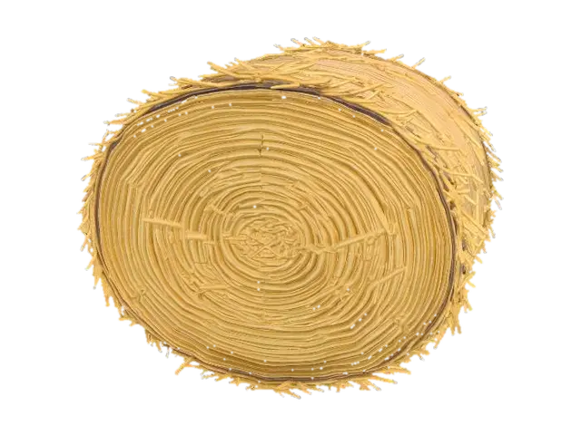 3D model for Cylindrical straw bale