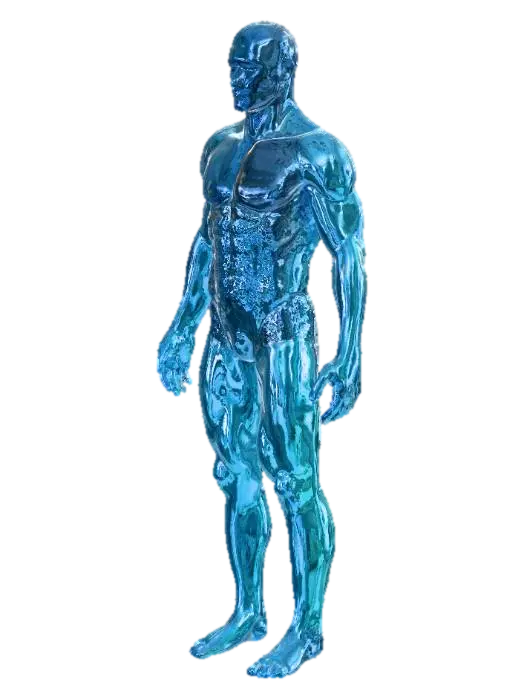 Human Muscular System Diagram - Composition 3D model, vytvořený pomocí AI
