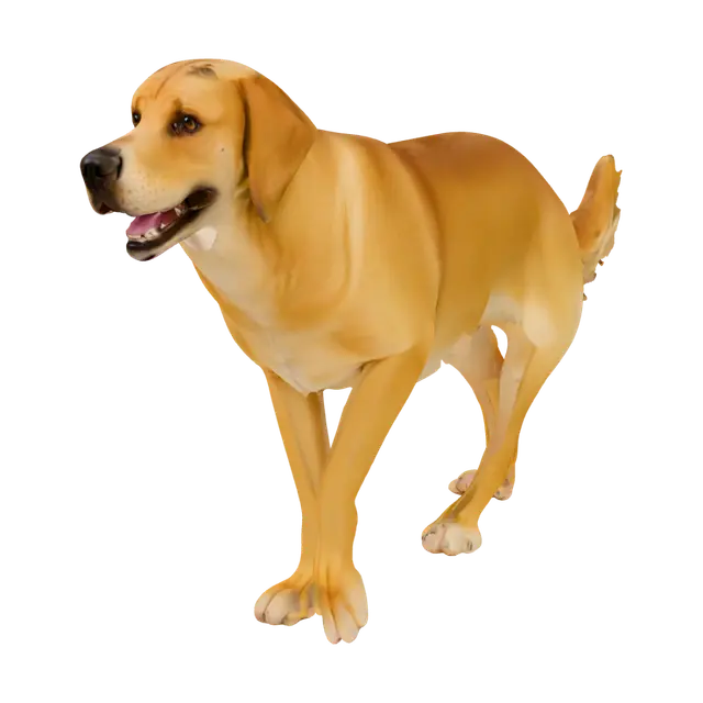 3D model for make dog
