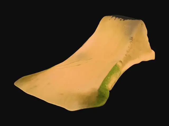 Free Ramp 3D Models - Download Instantly | Meshy