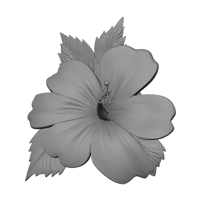3D model for Hibiscus Sketch