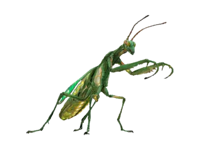 a life-size 10-meter high Giant praying mantis kaiju named, カマキラス. Ornate mantis… 3D model, vytvořený pomocí AI