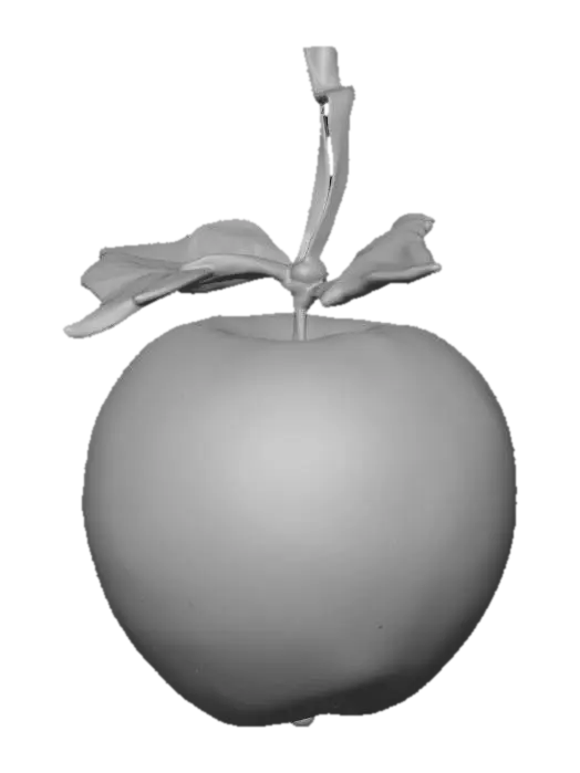3D model for beautiful green apple ornament. #Christmas2025#