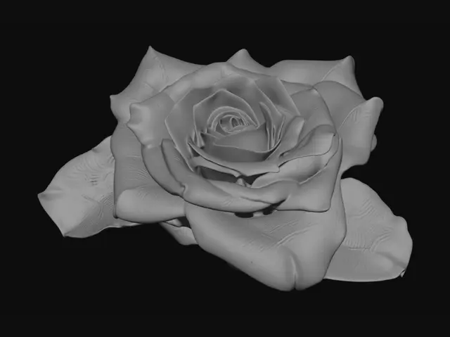 3D model for Crimson Rose in Focus