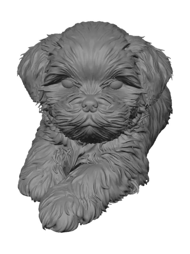 3D model for Snowball