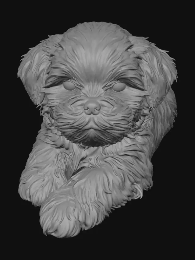 3D model for Snowball
