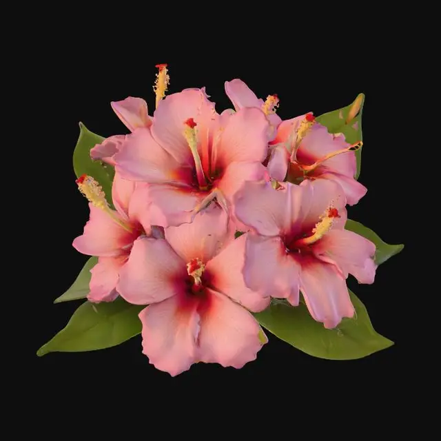 3D model for High resolution bunch of tropical flowers