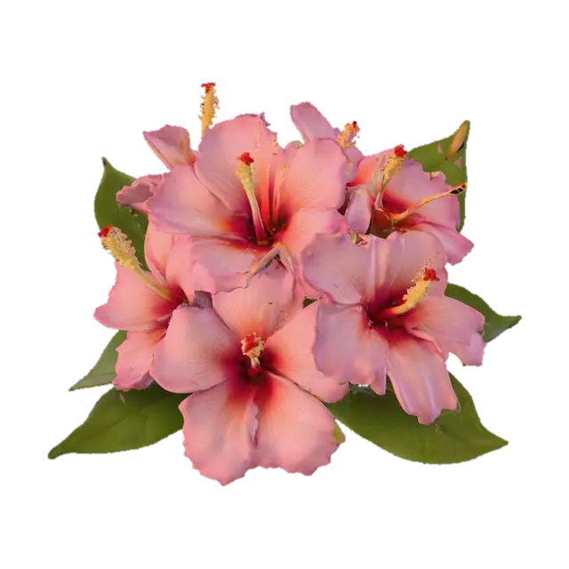 3D model for High resolution bunch of tropical flowers