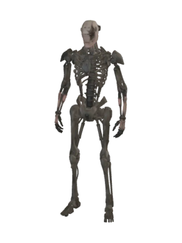 3D model for 