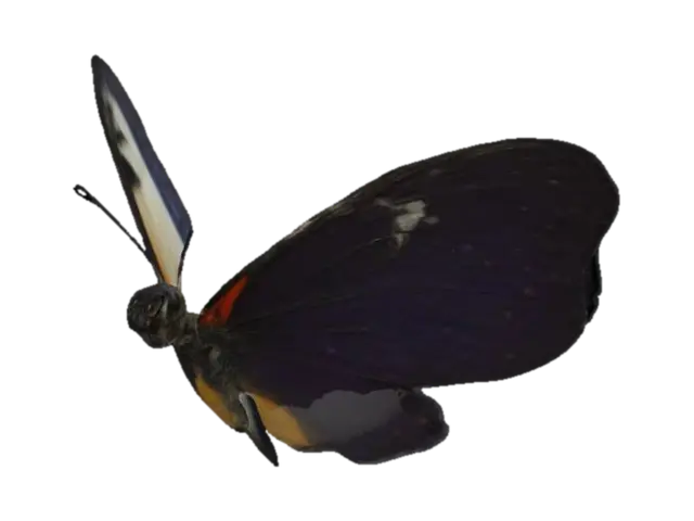 a butterfly - Macro 3D model, vytvořený pomocí AI