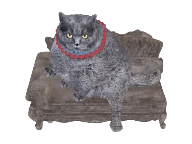 3D model for Regal Red-Beaded Cat