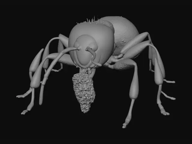 3D model for 3D model of a Camponotus ant parasitized by Ophiocordyceps unilateralis fungus. Ant body: glossy black head, segmented thorax, teardrop gaster abdomen. Six legs gripping, mandibles in a locked death grip. Fungal structure: thick fibrous dark-brown stalk erupts vertically from behind the head. Near the top, a bulbous cushion-shaped swelling with a porous, bumpy, pitted texture. Infection details: pale white and yellowish fuzzy mycelium oozing from leg joints, neck, and abdominal segments. Photorealistic organic textures, hyper-detailed macro style, 8k resolution.