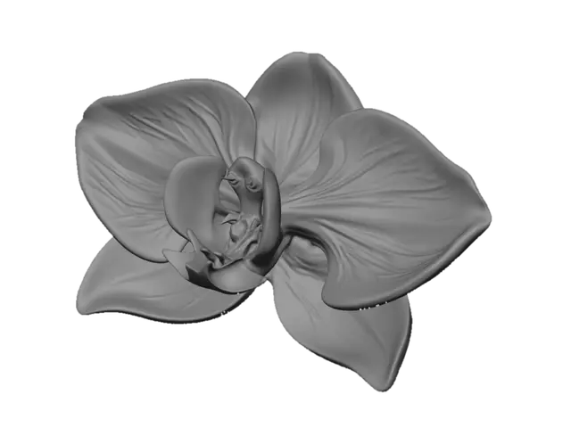 3D model for Neon Orchid