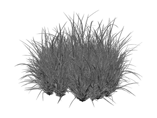 3D model for Street Mode