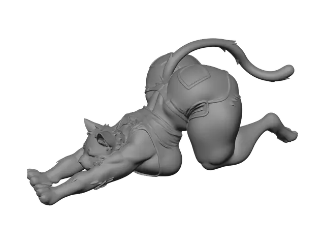 3D model for Midnight Stretch