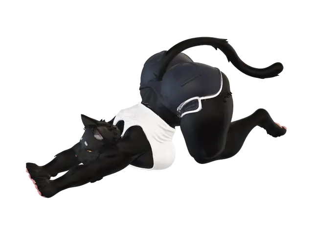 3D model for Midnight Stretch