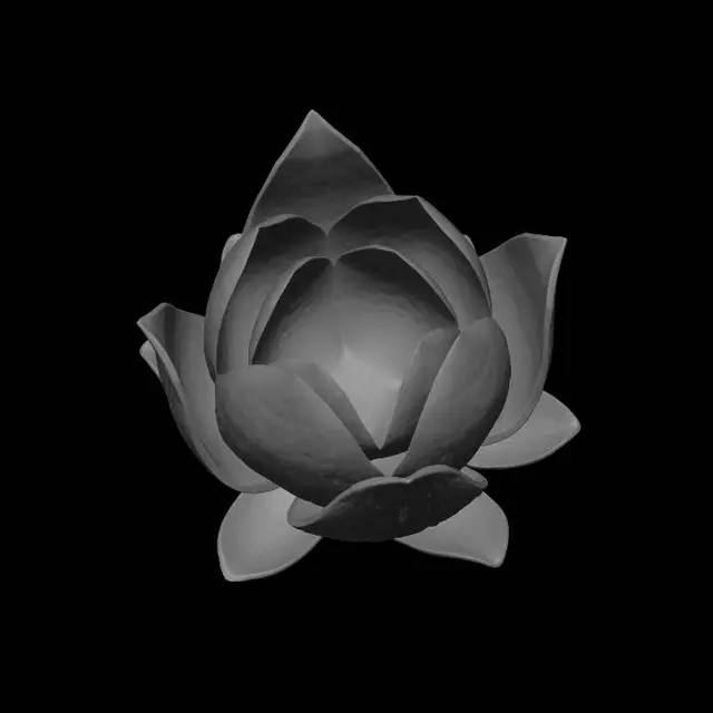 3D model for Minimal smooth single lotus petal for 3D printing, symmetrical organic shape, clean geometry, simple shape, thin shell, soft curves, Scandinavian lamp design, no texture, no details, white matte surface