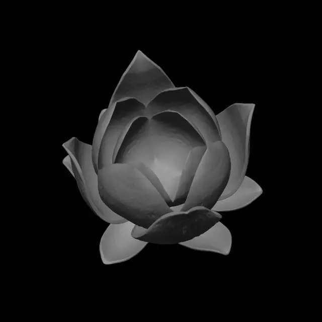 3D model for Minimal smooth single lotus petal for 3D printing, symmetrical organic shape, clean geometry, simple shape, thin shell, soft curves, Scandinavian lamp design, no texture, no details, white matte surface